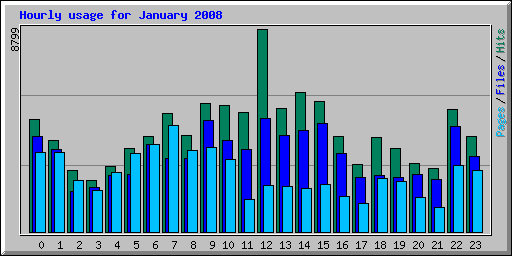 Hourly usage for January 2008