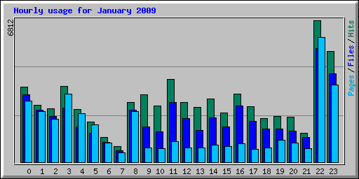 Hourly usage for January 2009